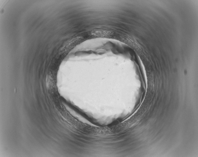 X0000059830371200511181454