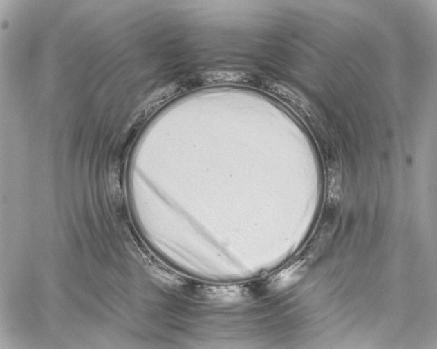 X0000059830377200511181454