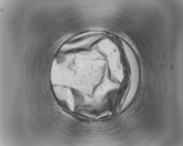 X0000059830385200511181453