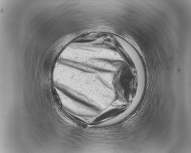 X0000059830389200511181453