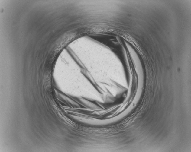 X0000059830393200511181453