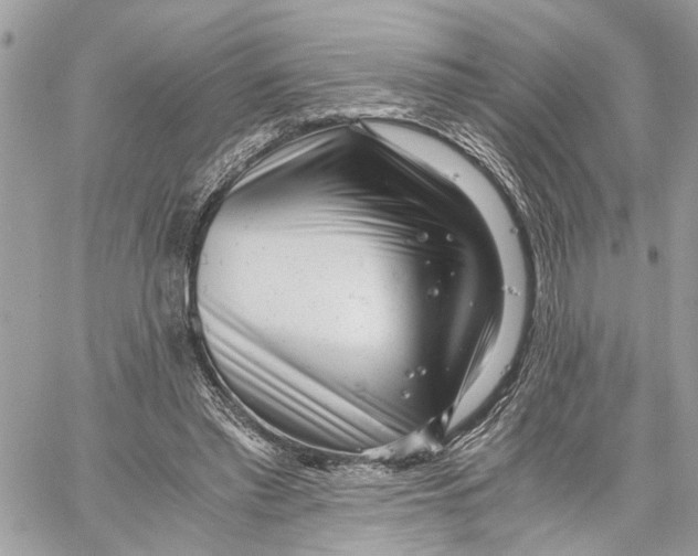 X0000059830397200511181453