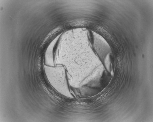 X0000059830400200511181453