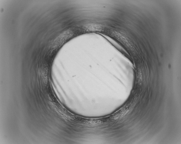 X0000059830402200511181453