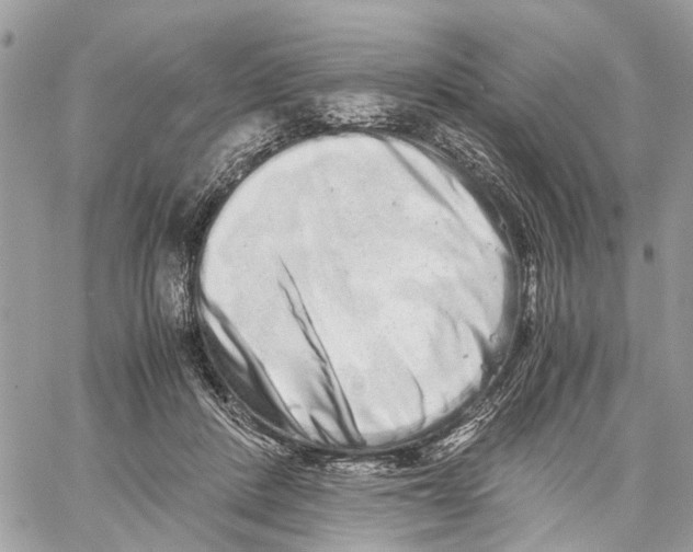 X0000059830408200511181453