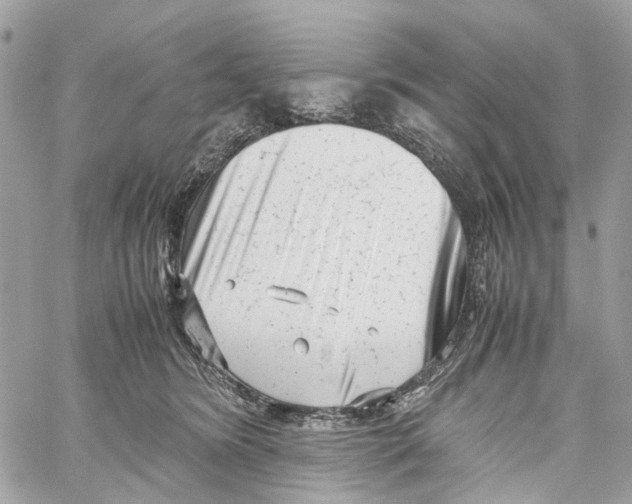 X0000059830420200511181453