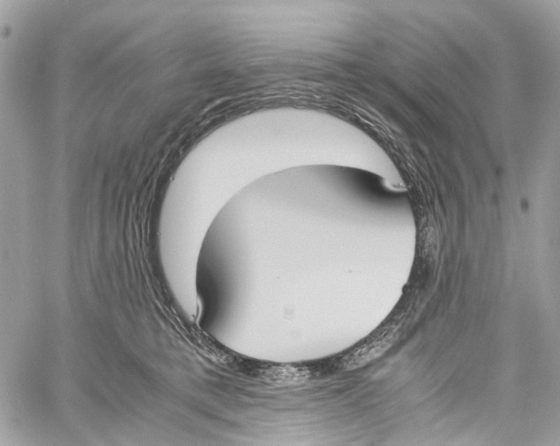 X0000059830421200511181452