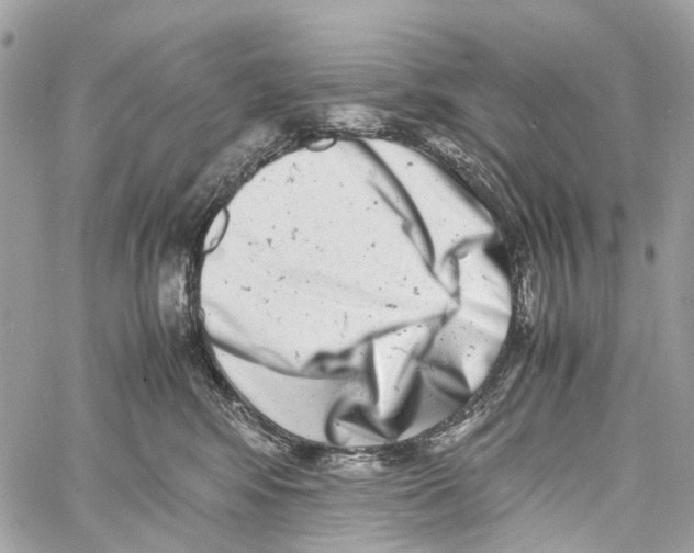 X0000059830424200511181452