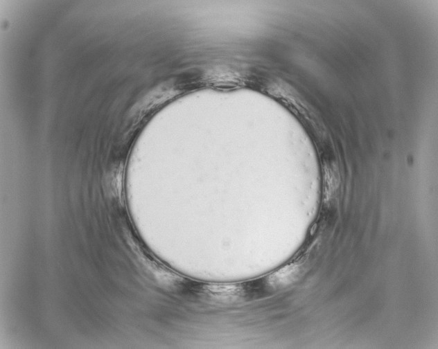 X0000059830427200511181452