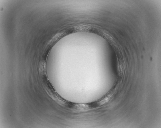 X0000059830429200511181452
