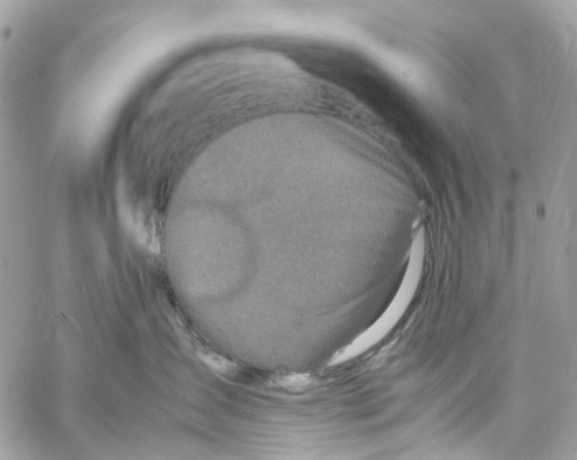 X0000059830431200511181452