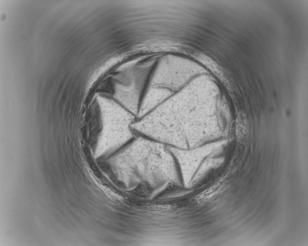 X0000059830438200511181452