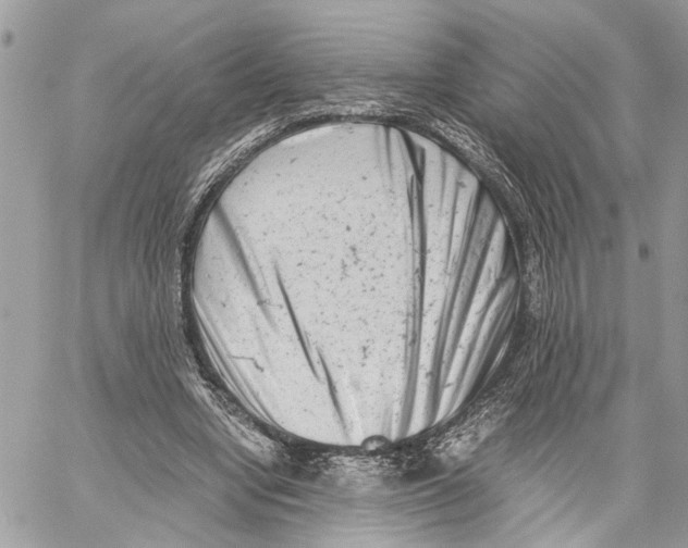 X0000059830442200511181452