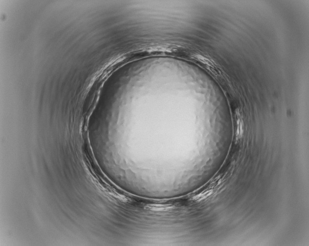 X0000059830444200511181452