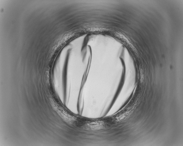 X0000059830447200511181452