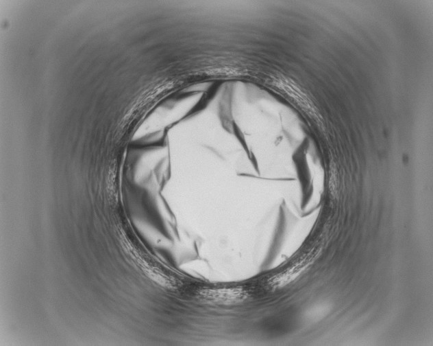 X0000059830449200511181452