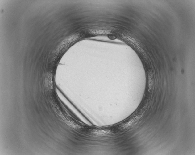 X0000059830453200511181452