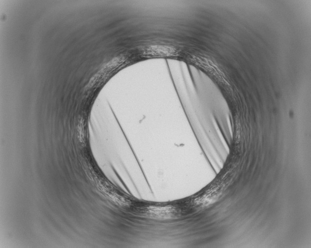 X0000059830457200511181452