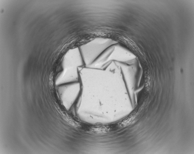 X0000059830466200511181452