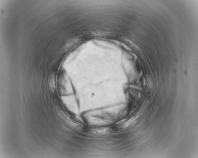 X0000059830479200511181452