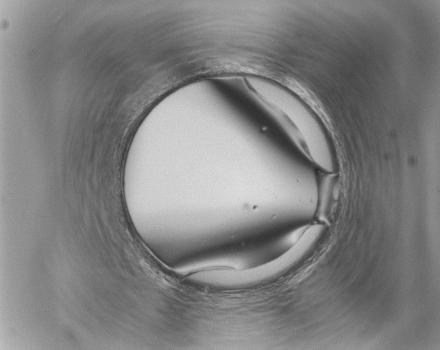 X0000059830481200511181452
