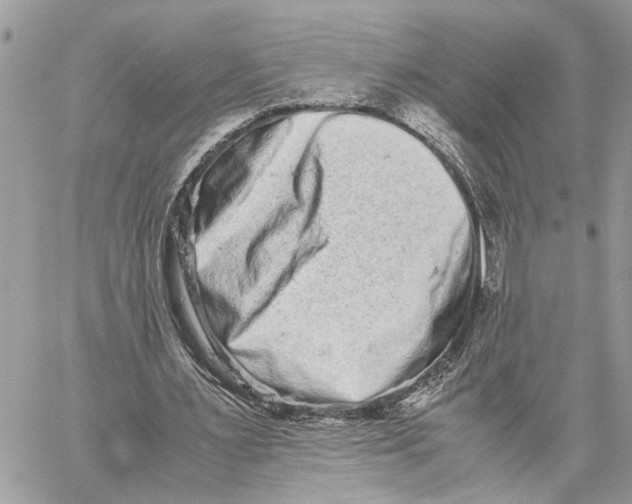X0000059830483200511181451