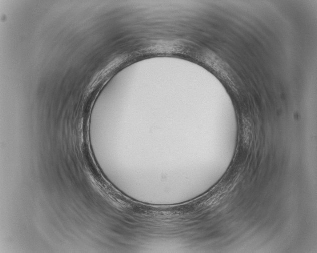 X0000059830486200511181451