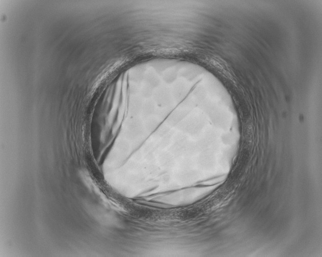 X0000059830491200511181451