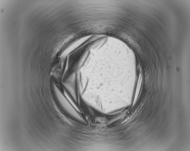 X0000059830493200511181451