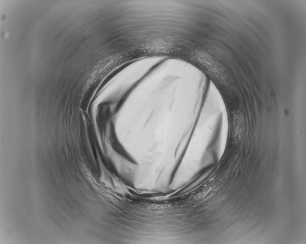 X0000059830494200511181451