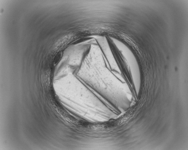 X0000059830501200511181451
