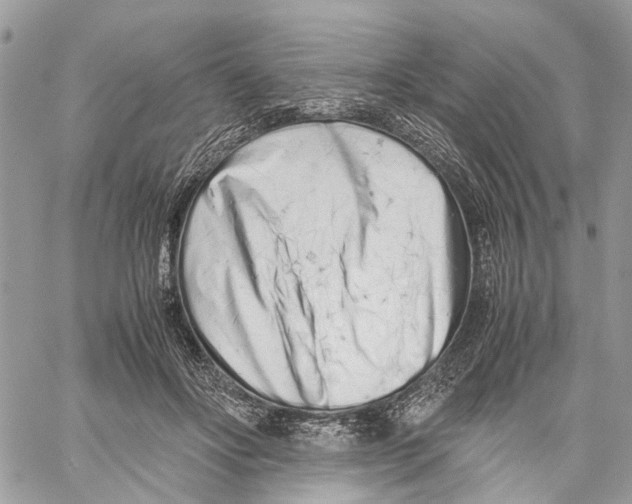 X0000059830502200511181451
