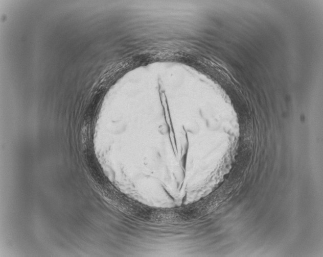 X0000059830503200511181451