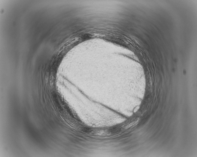 X0000059830507200511181451