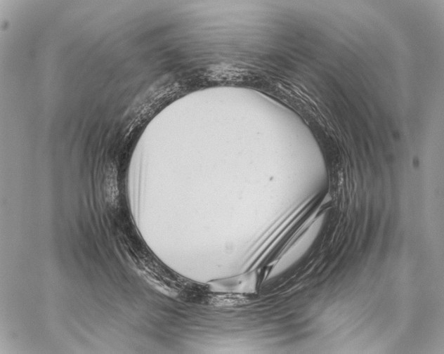 X0000059830508200511181451