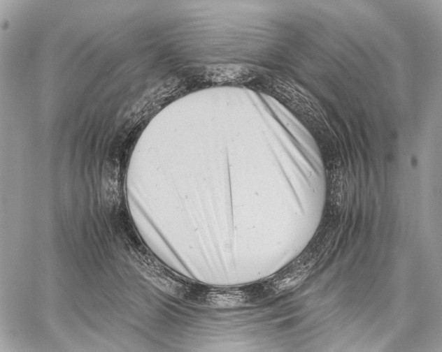X0000059830510200511181451