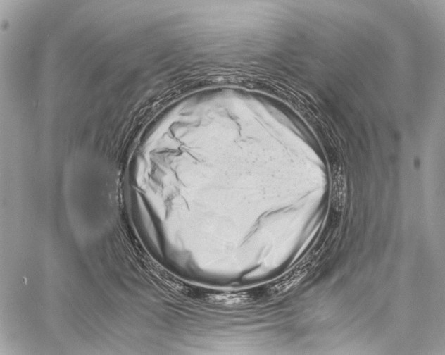 X0000059830511200511181451