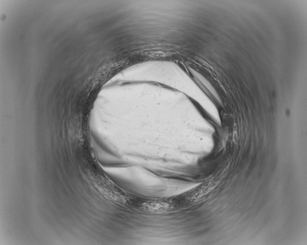 X0000059830512200511181451