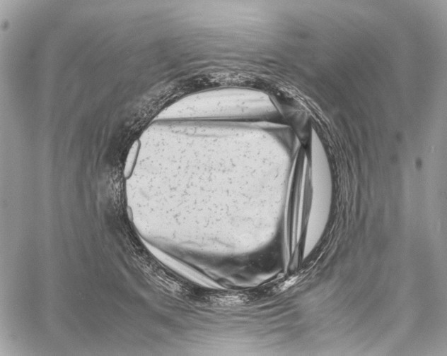 X0000059830513200511181451