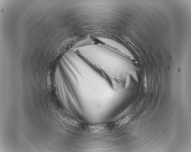 X0000059830516200511181451