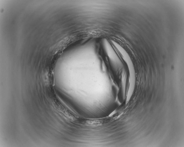 X0000059830520200511181451