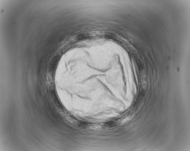 X0000059830523200511181451