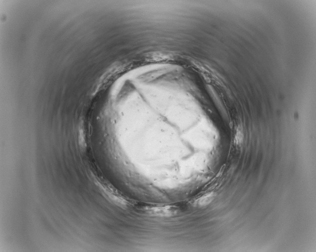X0000059830524200511181451