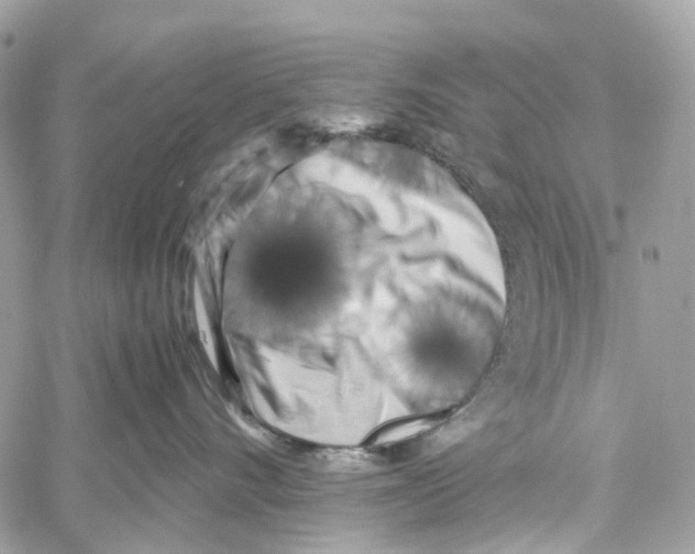 X0000059830528200511181451