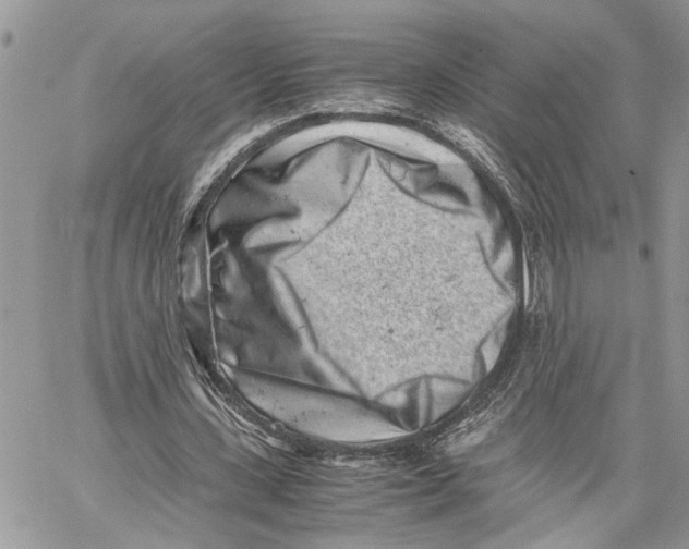X0000059830531200511181450