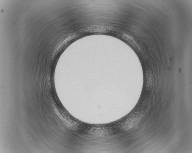 X0000059830538200511181450