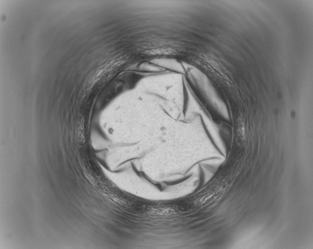 X0000059830547200511181450