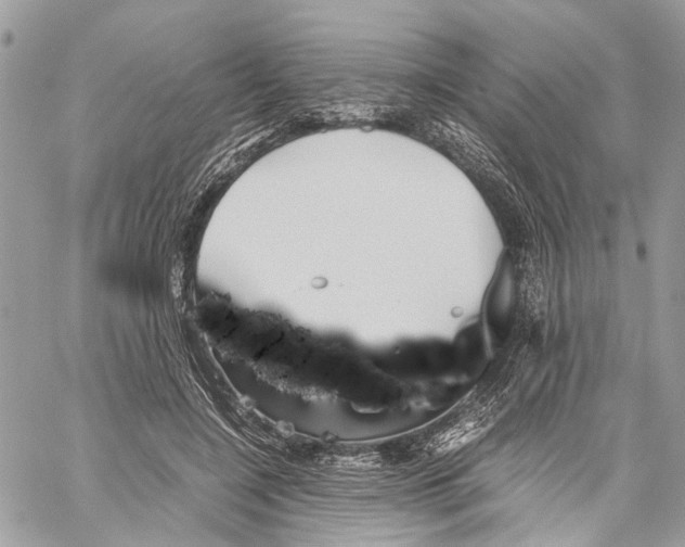 X0000059830548200511181450