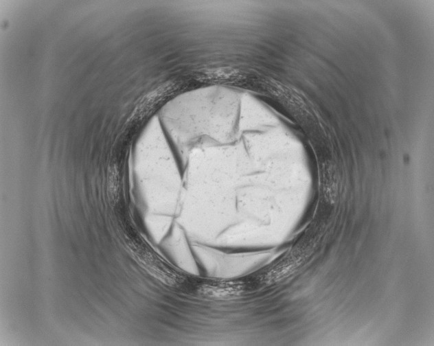 X0000059830563200511181451