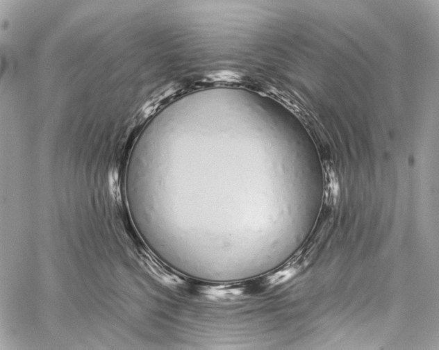 X0000059830568200511181451